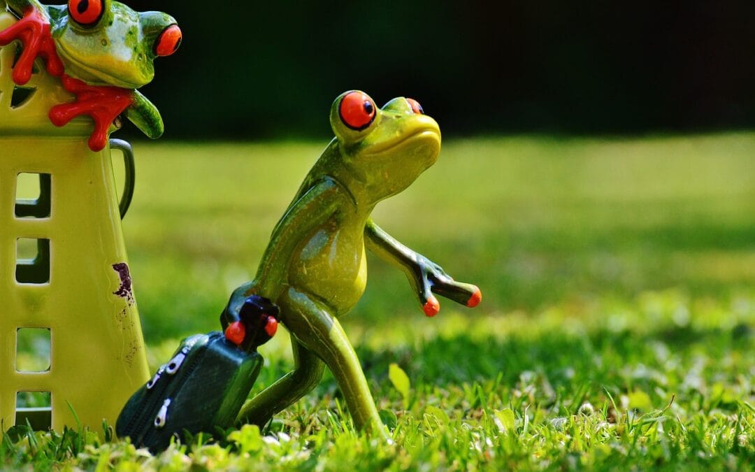 Le détachement fait mal