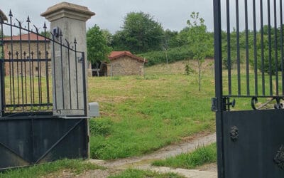 Inburgeren, hoe doe je dat?