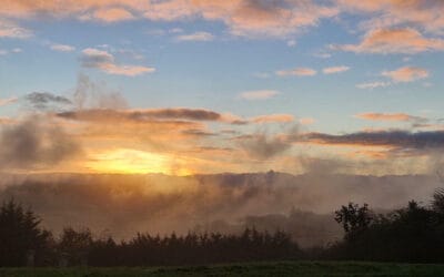 Over water en wellness